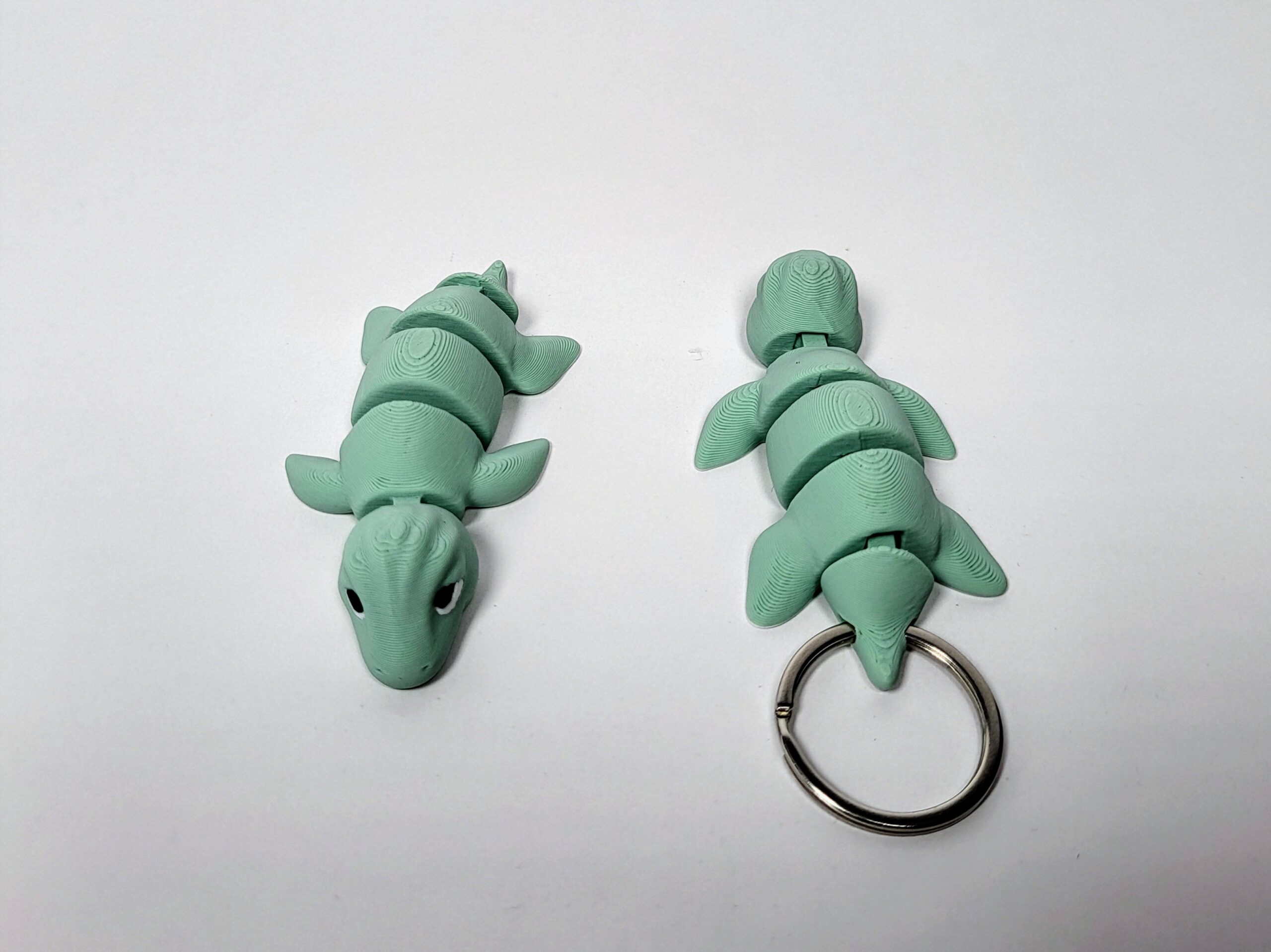 Plesiosaurio articulado - Articulaciones reforzadas - Imagen 2