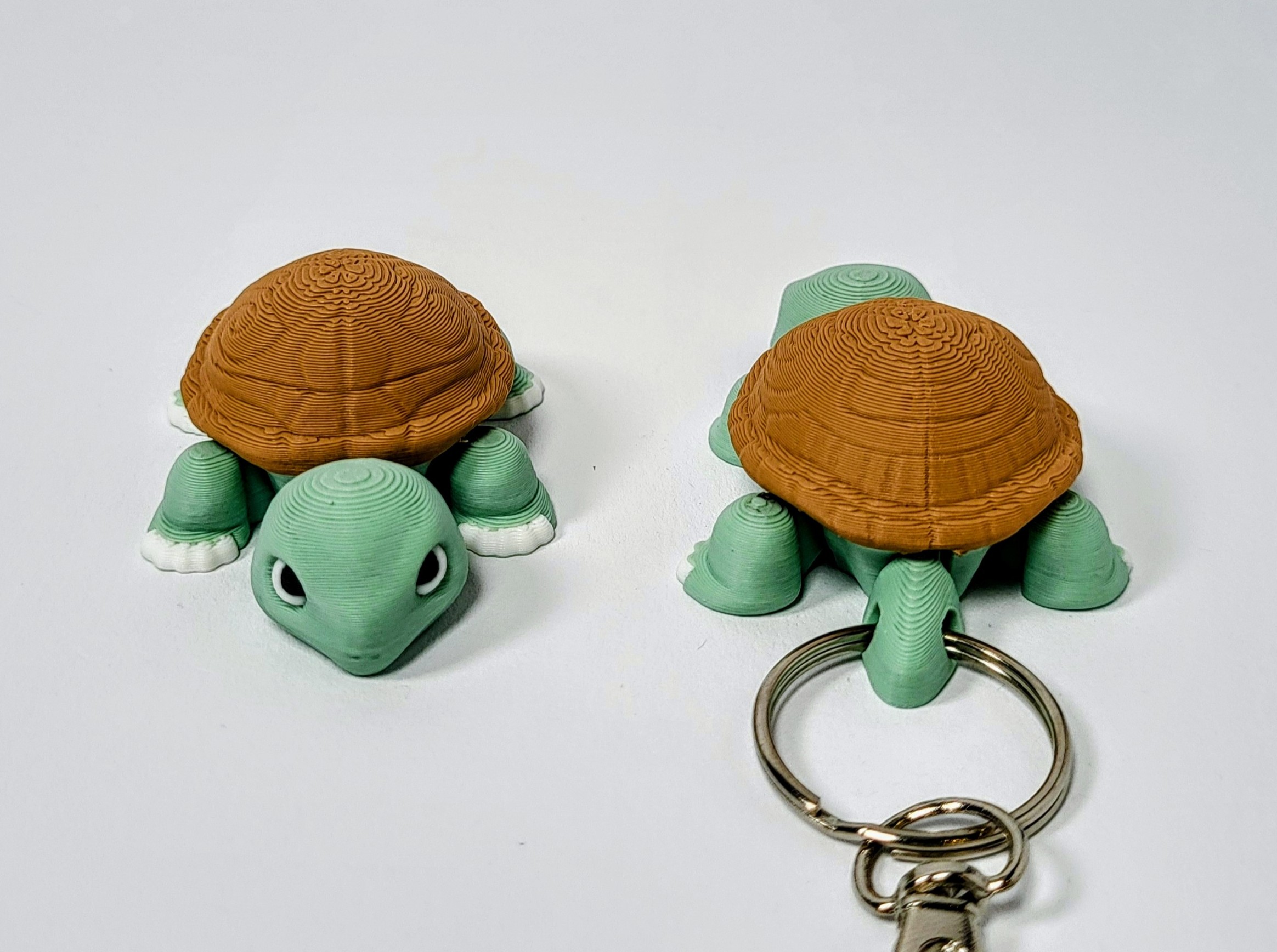 Tortuga terrestre articulada - Articulaciones reforzadas - Imagen 2
