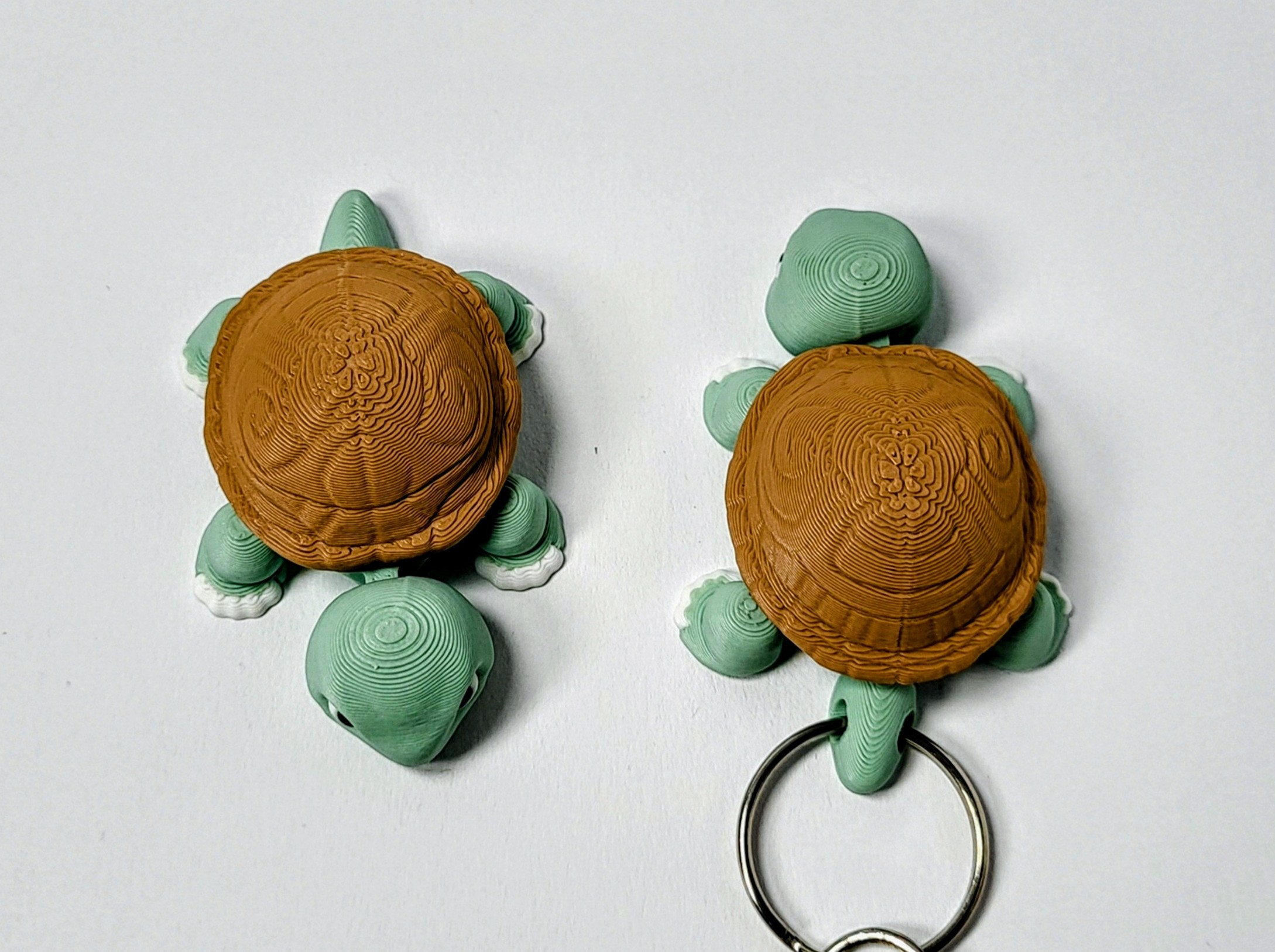 Tortuga terrestre articulada - Imagen 3