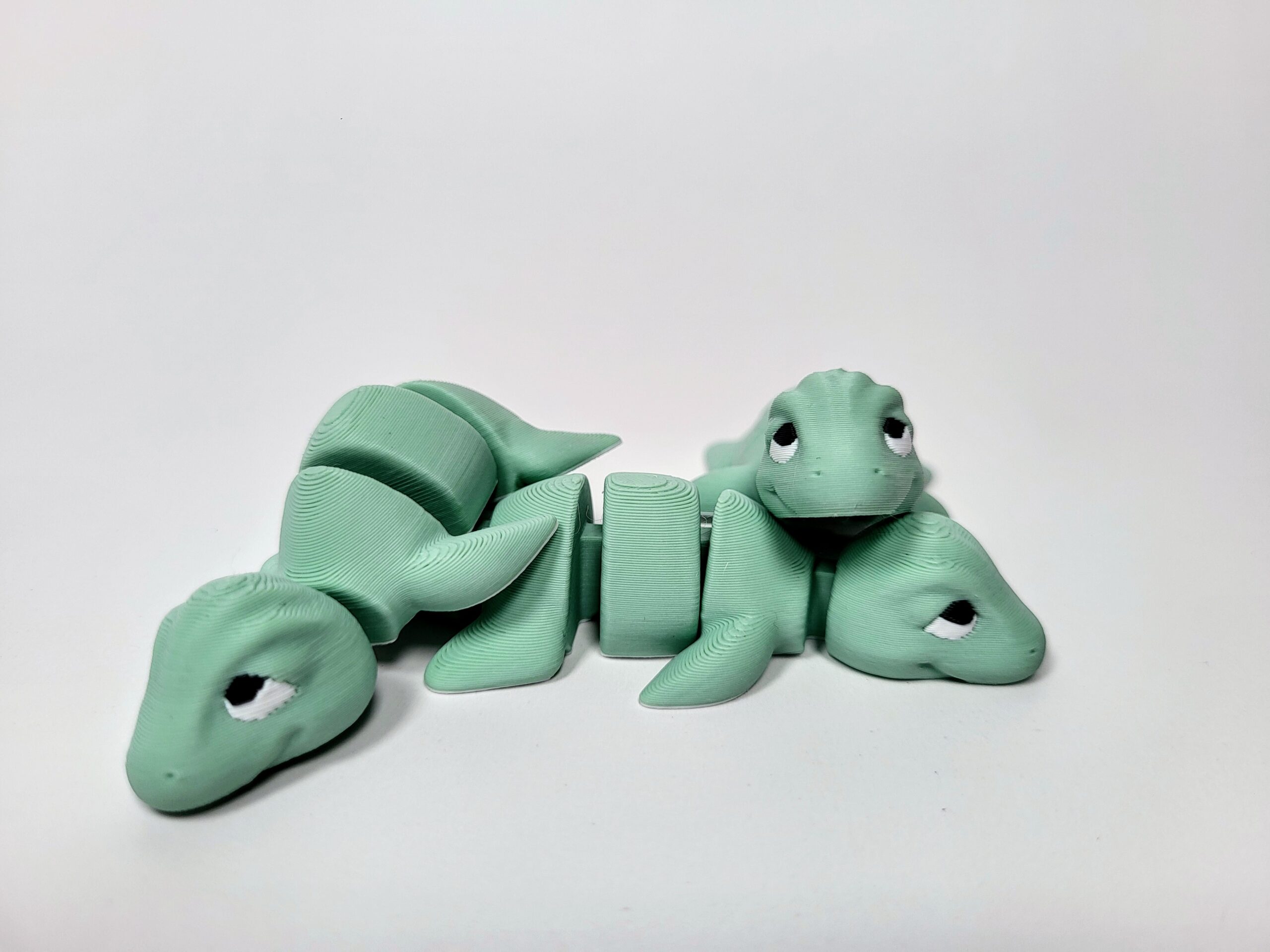 Plesiosaurio articulado - Articulaciones reforzadas - Imagen 4