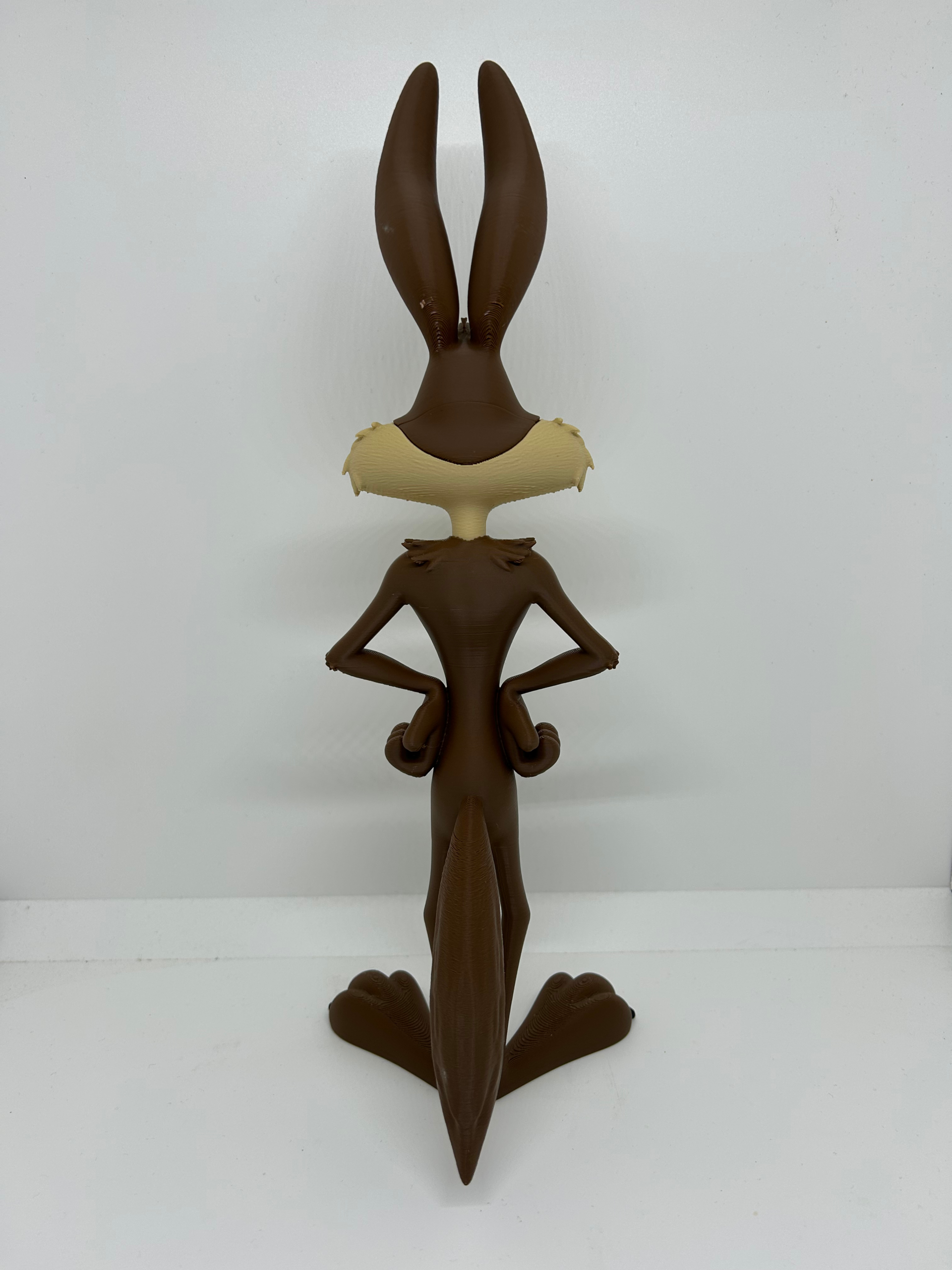 Figura El Coyote - Imagen 4