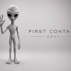 Primer contacto - Alien gris