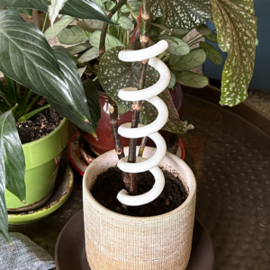Soporte para plantas regulable
