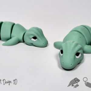 Plesiosaurio articulado - Articulaciones reforzadas