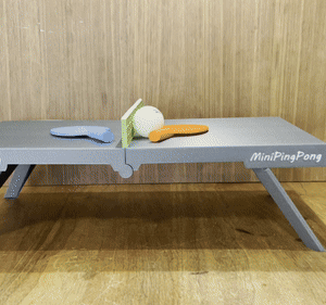 Mini mesa de ping pong plegable